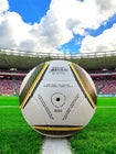 Adidas Jabulani FIFA World Cup